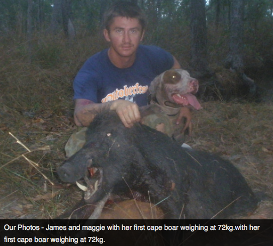 Screen Shot 2013-10-02 at 1.37.32 PM